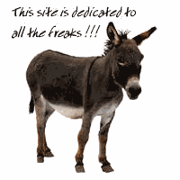 bgfreaks.gif (7549 bytes)