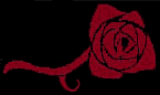 tor-rose.gif (2303 bytes)