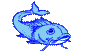 fish animation