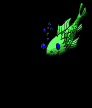 feeding fish animation