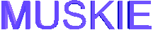 pan around muskie logo