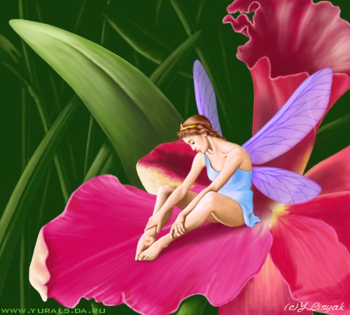 fairy.jpg (52216 bytes)