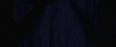 image from the forest of day and night