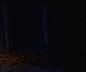 image from the forest of day and night