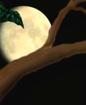 tree part 2