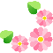 sd04.gif (1117 bytes)