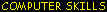 computer_skills_tx.jpg (7334 bytes)