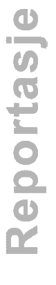 Reportasje