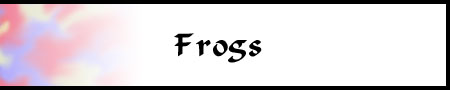 The Living Wood: Frogs