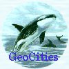 GeoCities