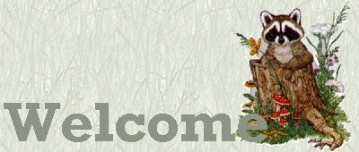 Welcome!