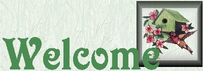Welcome