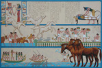 Wild and Domestic Horses