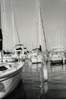 Boat Yard, Annapolis, MD