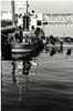 Tugboat, Annapolis, MD