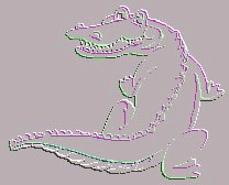 Alligator