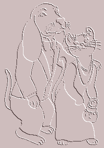 Dog & Cat