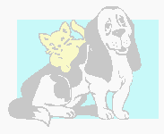 dog & cat