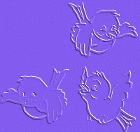Birds