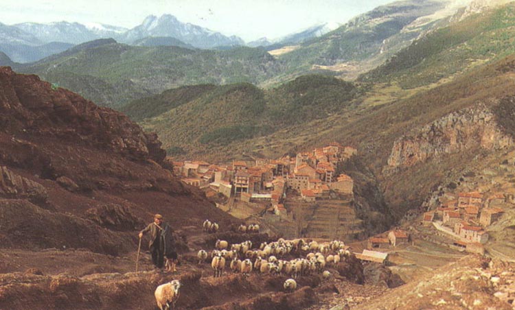 Castellar de nHug