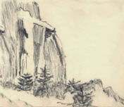 Sapins aux Pieds des Falaises