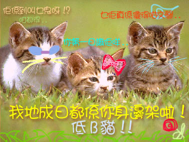 3cat.jpg (47140 bytes)
