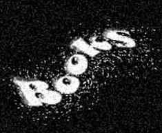 cat_book1.jpg (46369 bytes)