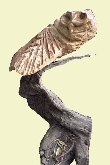 Pueo Maka'ala