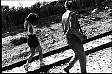 e11.GIF