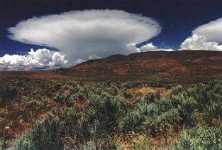cloud graphic
