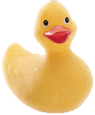 rubber ducky, you're the one...