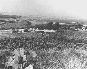 The Golan Heights