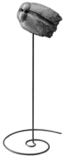 Sat�lite. 18 Kb.