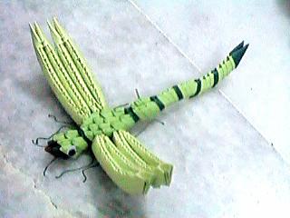 dragonfly