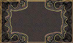 Own Card 2 
