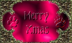 Xmas 1