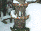 jan2001_15