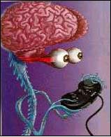 nothing like a good brain workout while vegging...