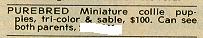 /user/cansee.jpg