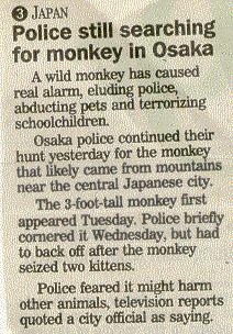 /user/monkey.jpg