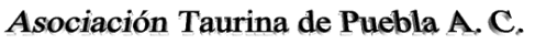 Entrar