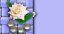 Flowerset