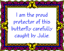 sample certificate