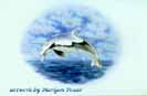 delphin