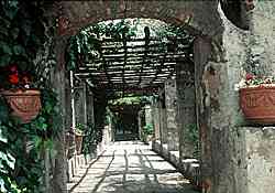garden in Nice, France