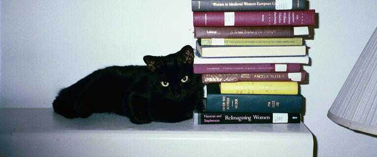 Hawkeye, our cat, likes to lean on precariously balanced objects.