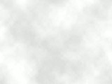 opaque.jpg 160x120