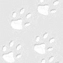 pawback.gif 124x124
