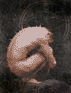 a.gif