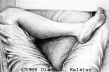Lap, drawing  1988 Diane L. Keister. All Rights Reserved.